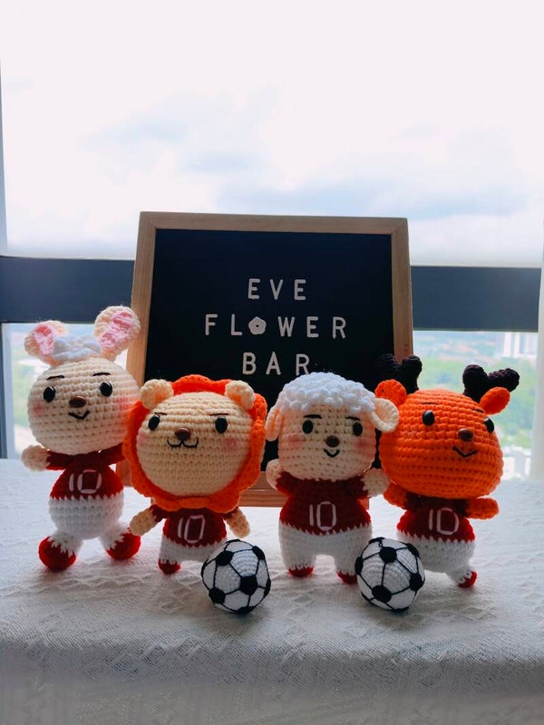 TND0069 Football team