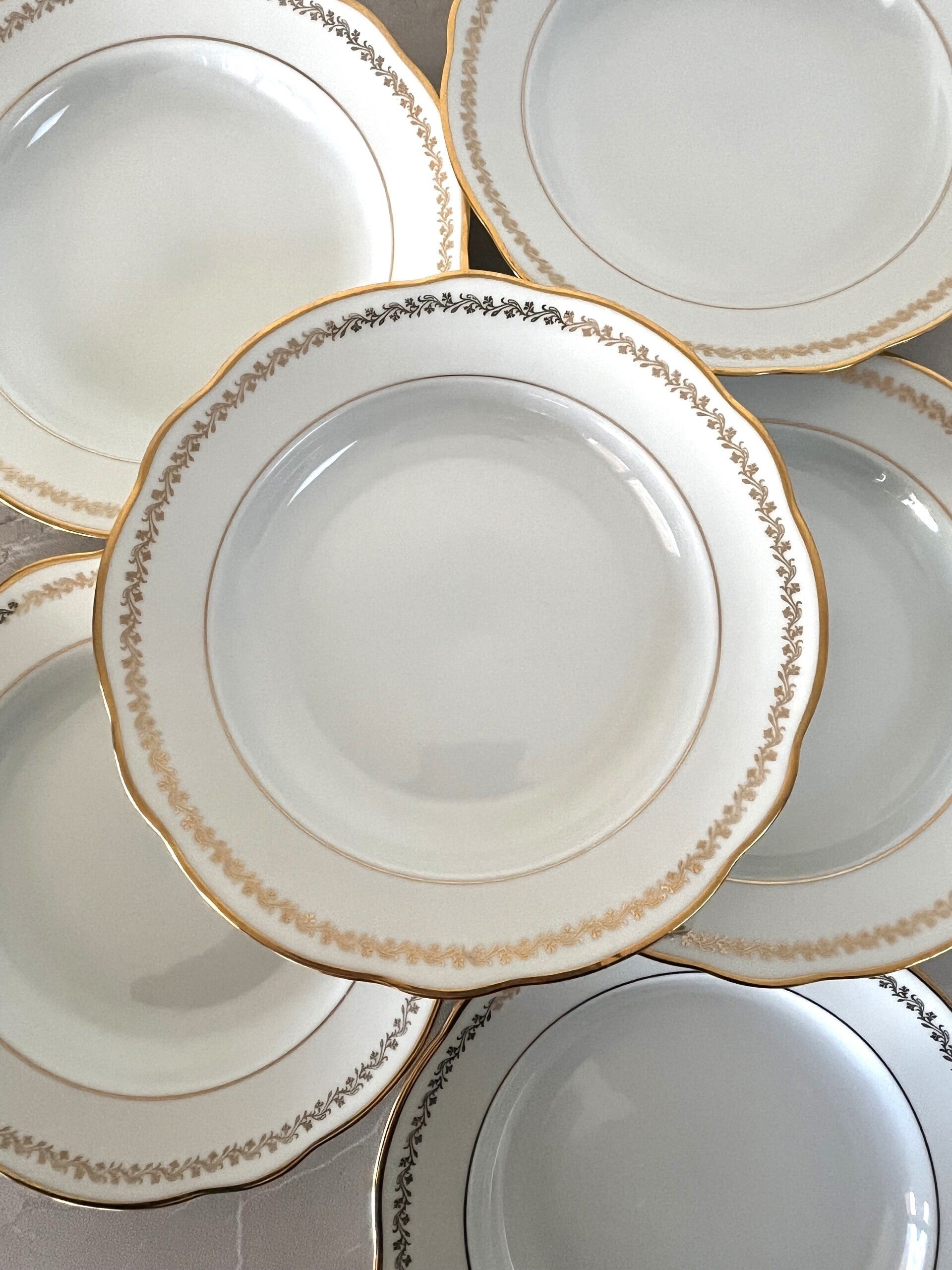 6 assiettes creuses F.D. - F. Deshoulières Chauvigny