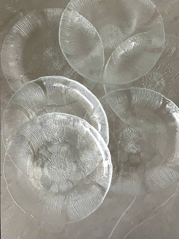 6 petites assiettes en verre Arcoroc