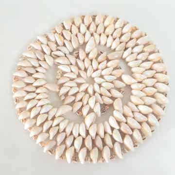 Dessous de plat en coquillages vintage
