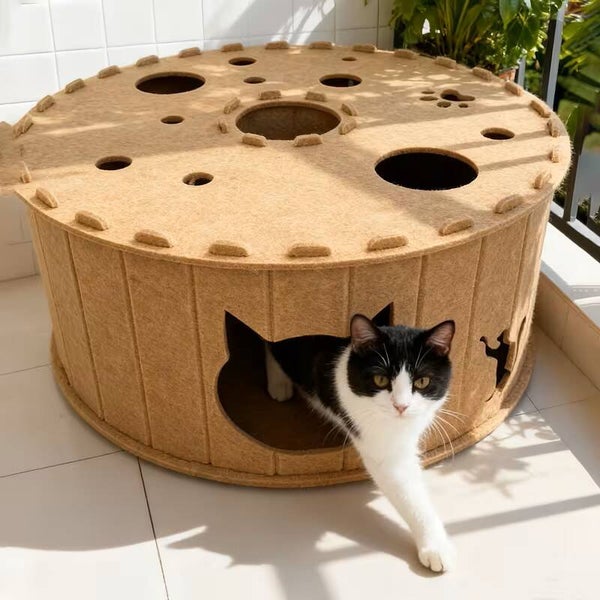 Tunnel Griffoir