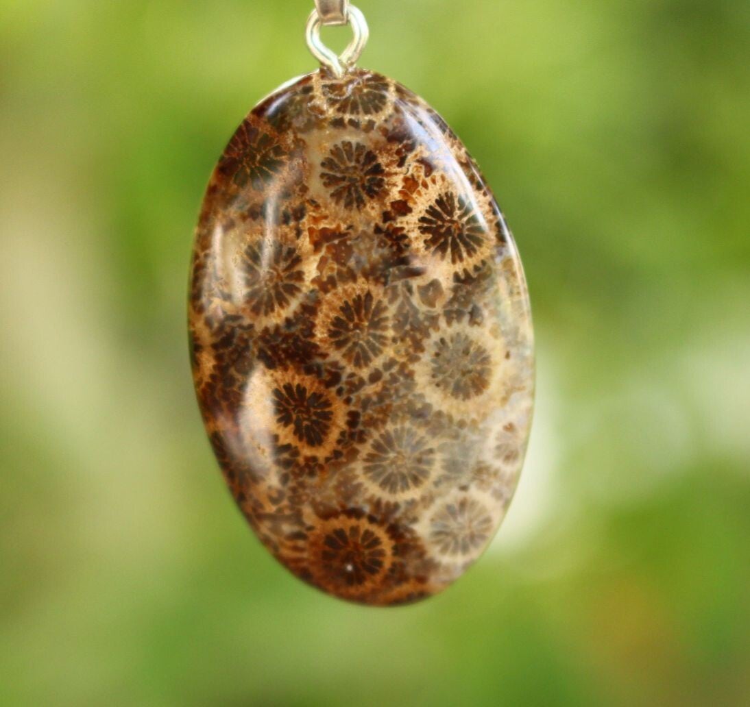 Versteinerte Koralle