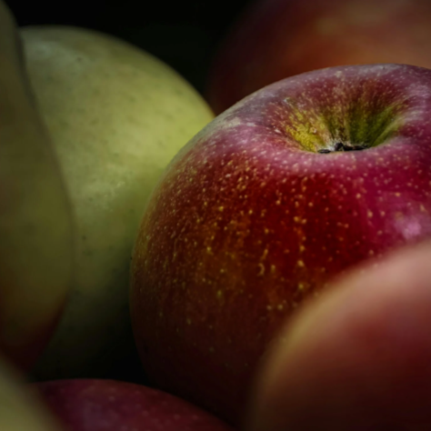 Fresh Apple Juice 5l