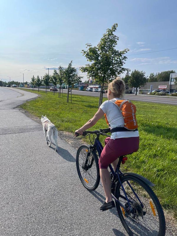 Aktivisere hunden din