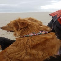 IMG-20190506-WA0002-2.jpg