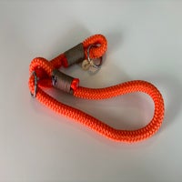 img_9246-standard.jpg