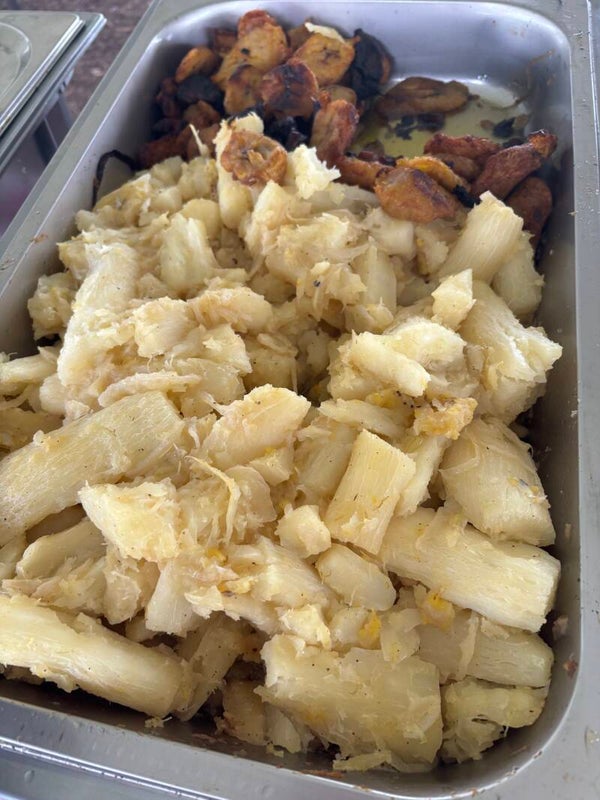 Yuca 9x13pan