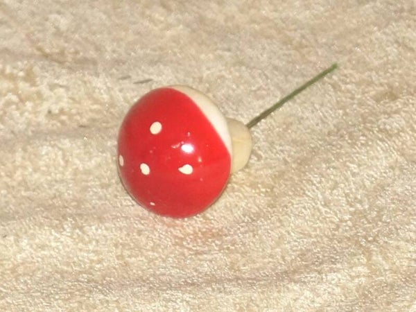 Pilz 25500
