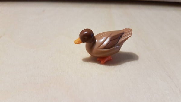 Eend Bruin bruin   #B213