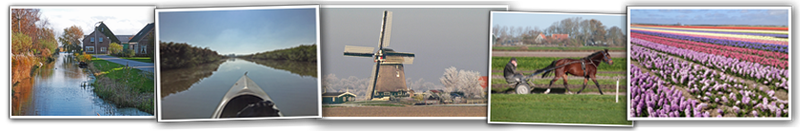 Groenveld en omgeving