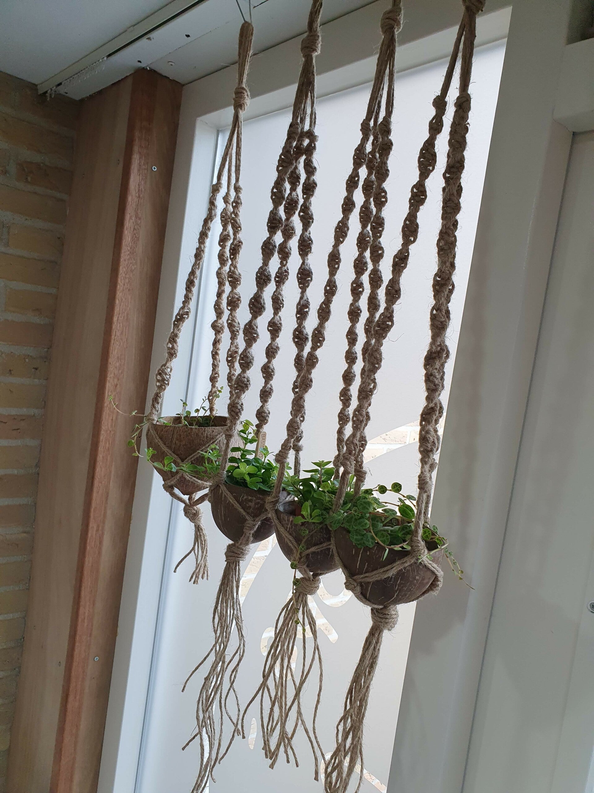 servies beschilderen workshop, workshop sieraden maken 2 personen, schilderen voorbeelden, schilder voorbeelden, dikke dames schilderen thuis, vriendinnenuitjes, workshop macrame, dikke dame beeldje, drenthe koe, workshop teambuilding