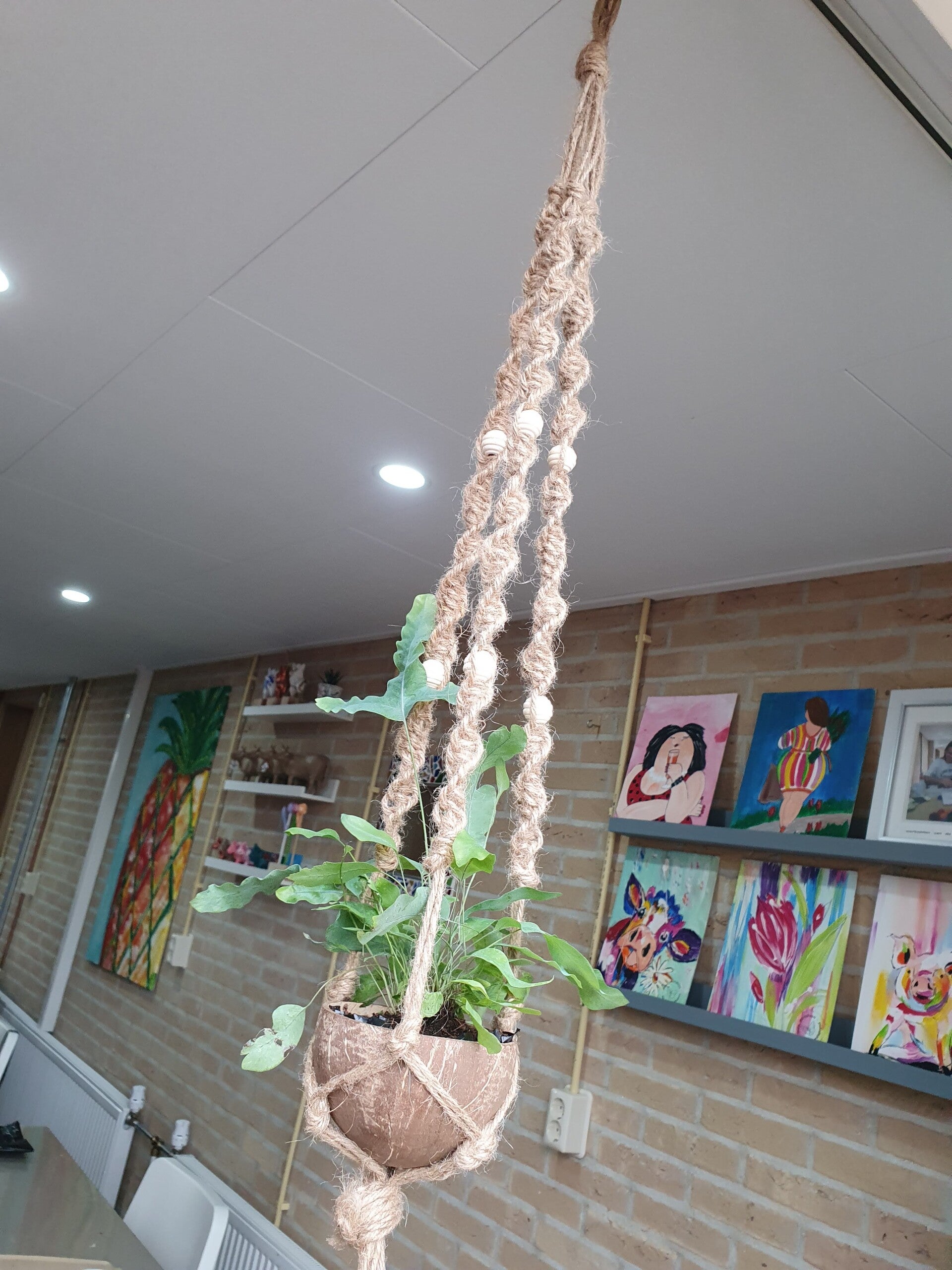 workshop macramé plantenhanger maken, workshop, workshop Drenthe, workshops Drenthe, creatieve workshop, creatieve workshops, personeelsuitje Drenthe, creatief uitje Drenthe, vriendinnenuitje, familiedag, workshop 20 personen, moeder dochter uitje