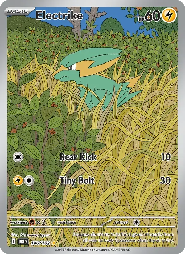 Electrike 196/182