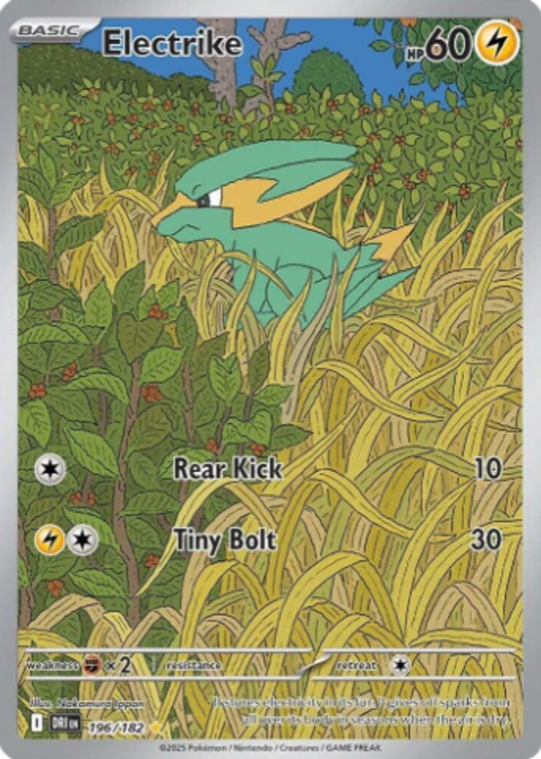 Electrike 196/182