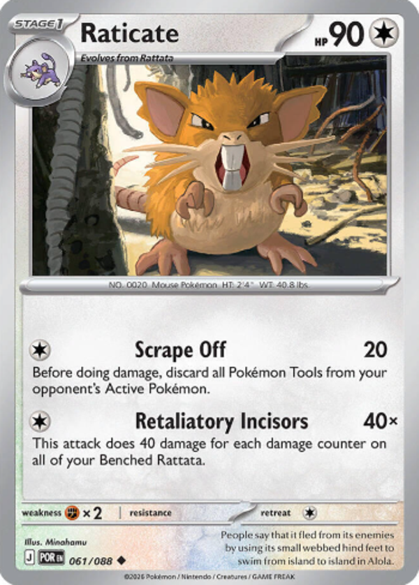 Raticate 061/088
