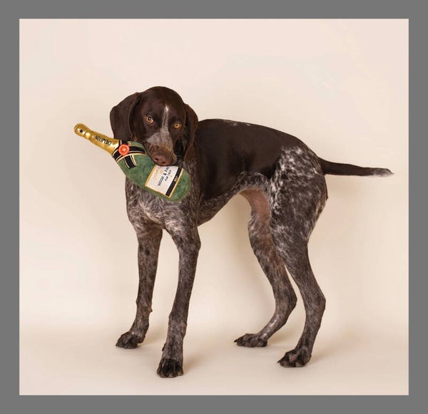 Champagne