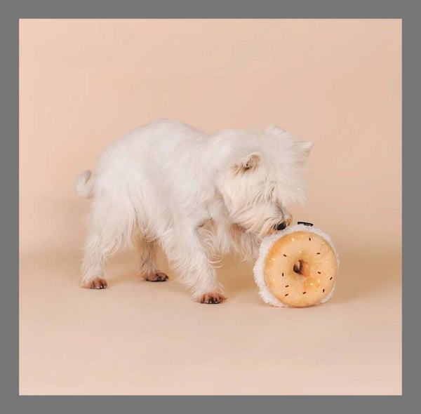 Bagel
