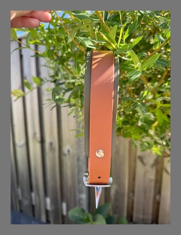 *Seizoen special* Biothane halsband luxe