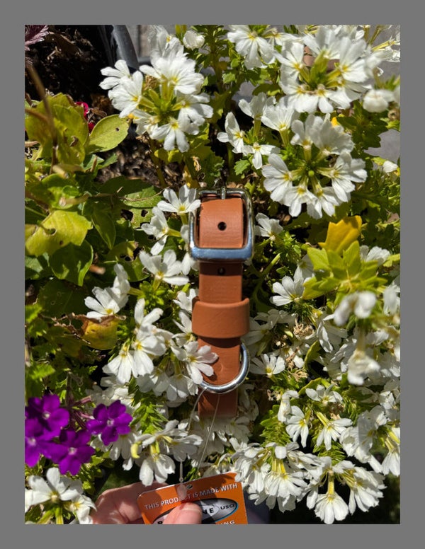 *Seizoen special* Biothane halsband standaard