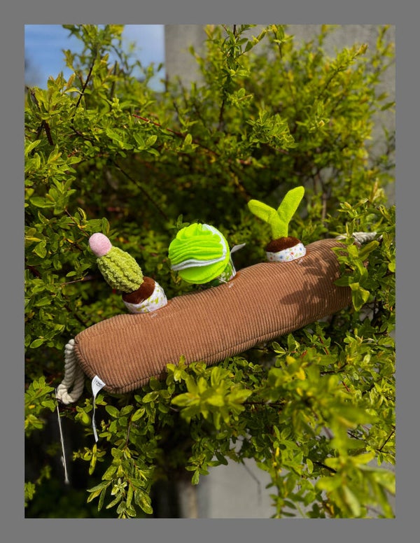 Snuffel box
