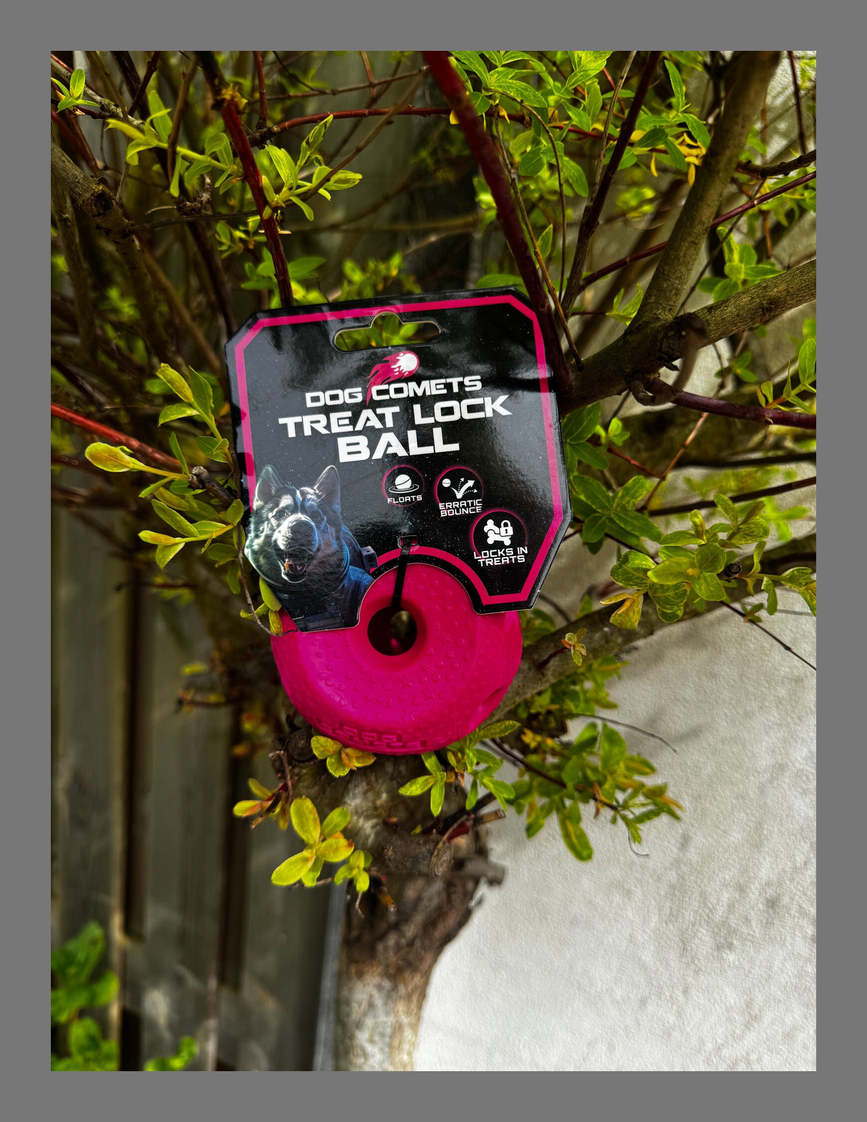 Dog Comets Treat Lock ball