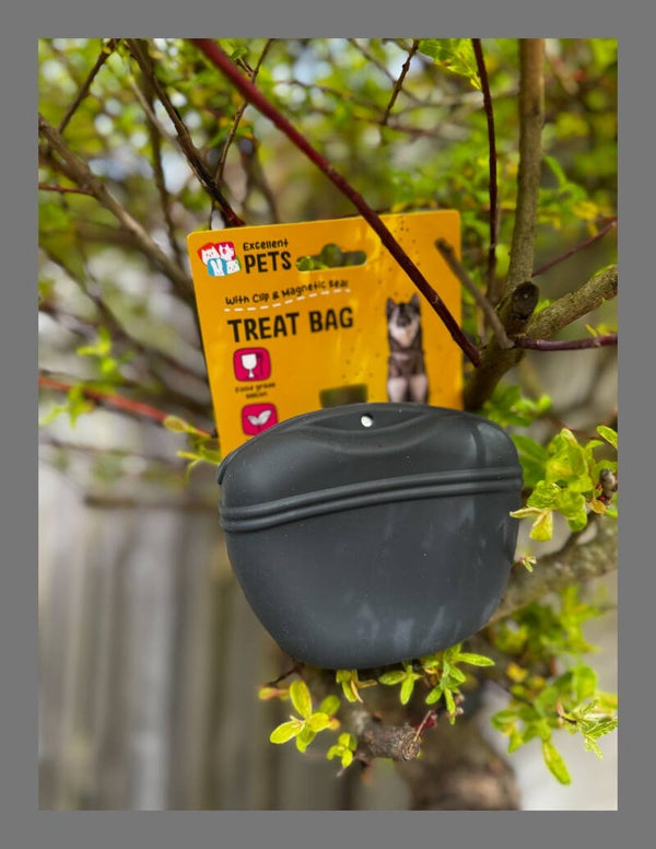 Treat bag