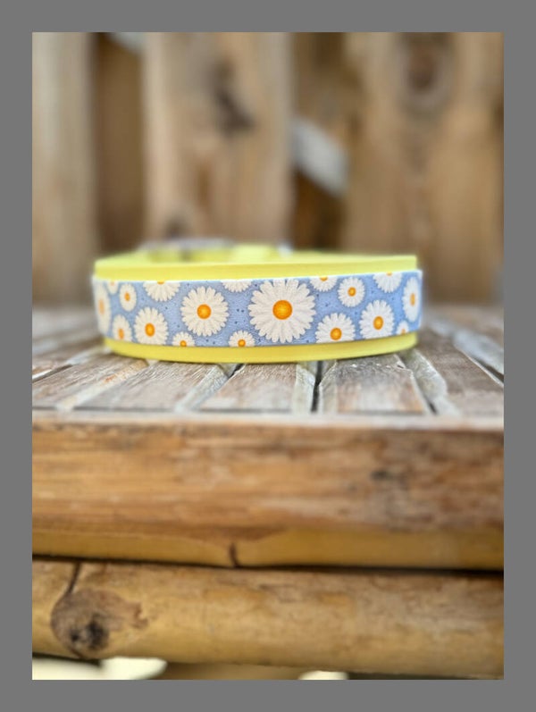 Accent Print Biothane halsband