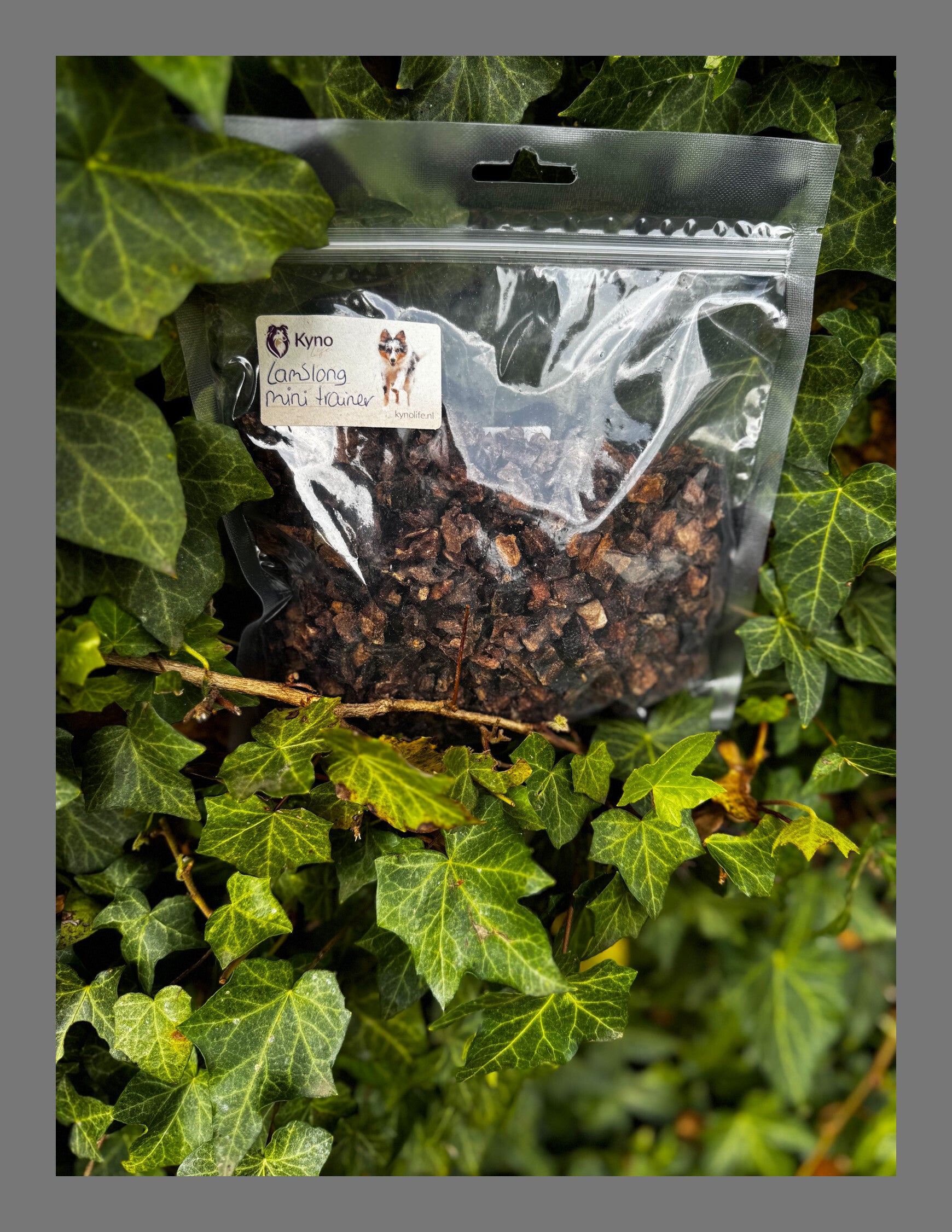 Mini trainers lamslong