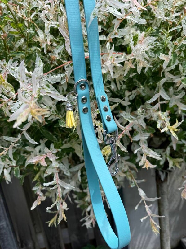 Dusty turquoise Lijn 19mm 2 meter, vast handvat, 1 musketon, 1 ring