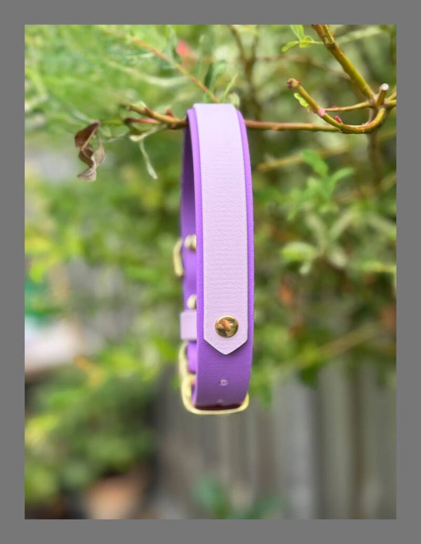 Biothane halsband luxe