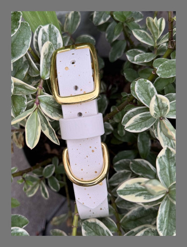 Biothane splash halsband artic wolf