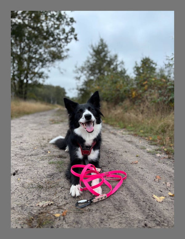 Biothane verstelbare lijn