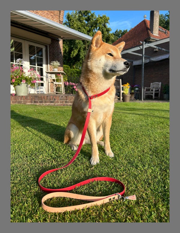 Biothane jachtlijn/sliplijn met stop