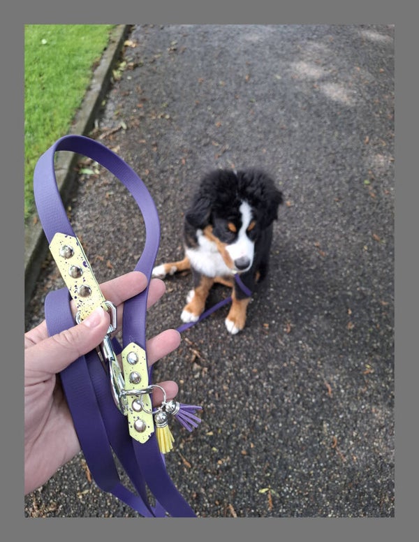 Biothane SPLASH verstelbare lijn