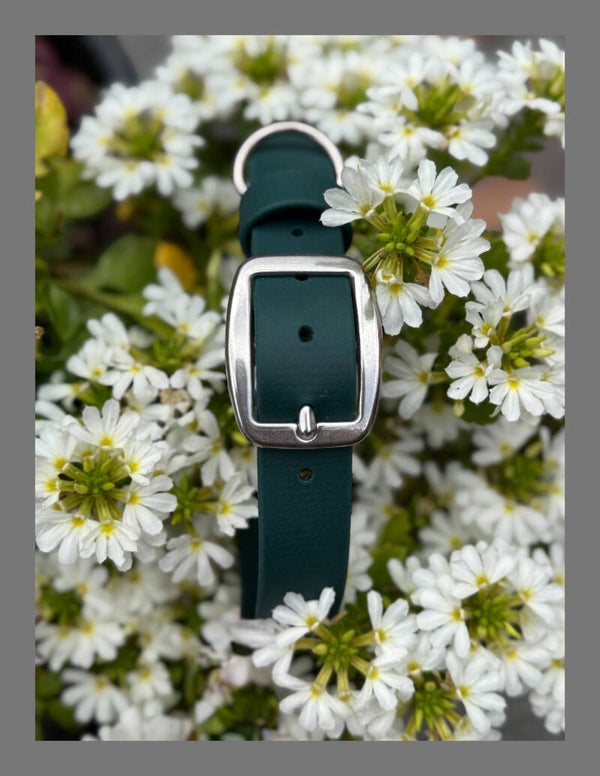 Biothane halsband standaard donkergroen Large