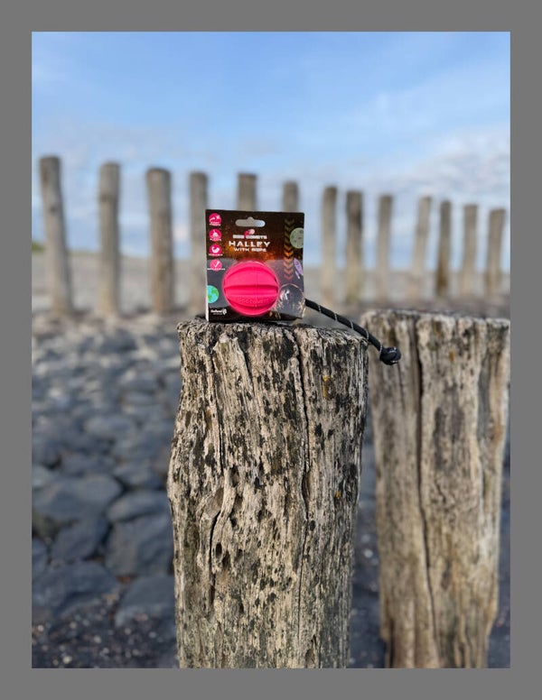 Dog Comets meteorite met touw