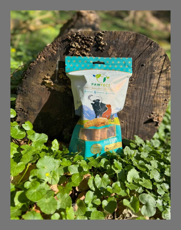 Pawfect puff stripes