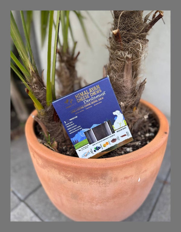 Pawfect Dentamust Bars Blueberry Medium 195 gr.