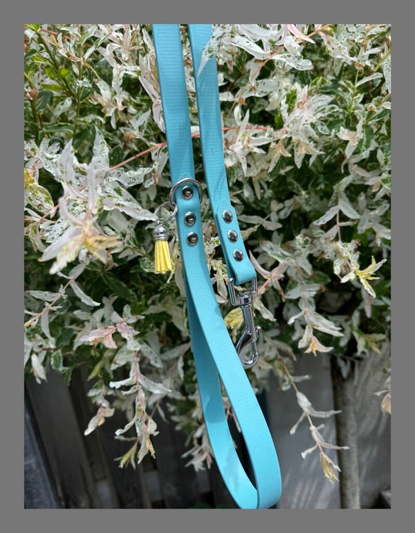 Dusty turquoise Lijn 19mm 2 meter, vast handvat, 1 musketon, 1 ring