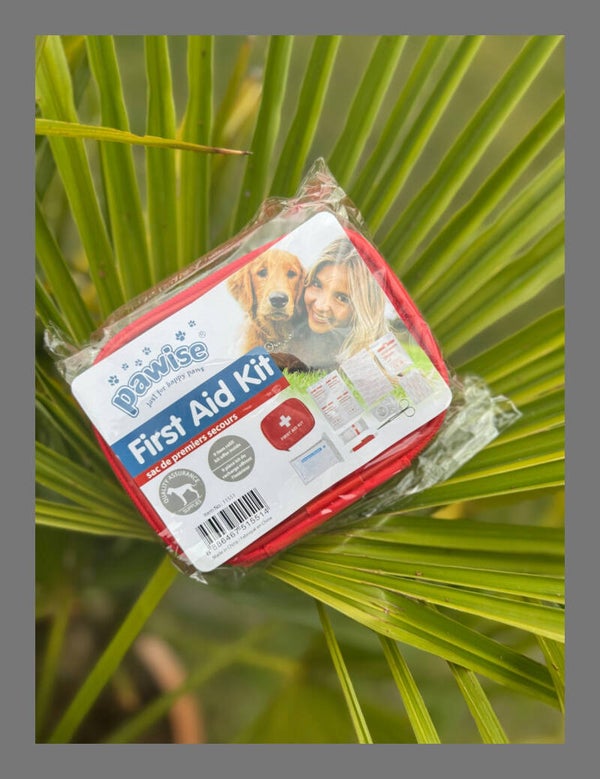 EHBO set voor onderweg