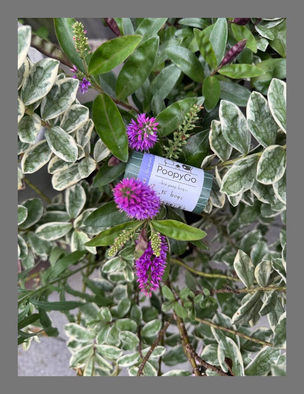 PoopyGo Eco friendly single roll lavendelgeur