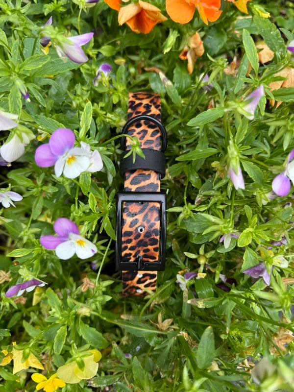Print Biothane halsband standaard