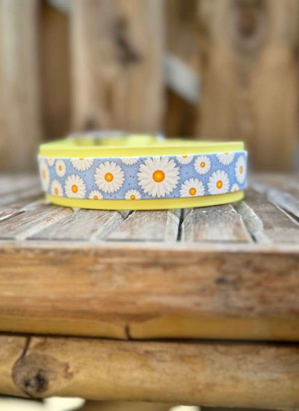 Accent Print Biothane halsband