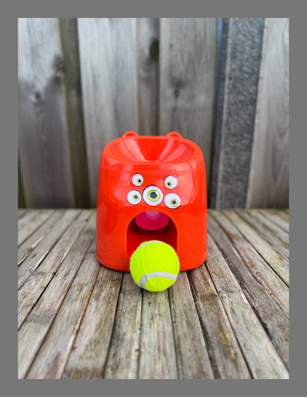 Dog Comets D1spencer fetch and treat