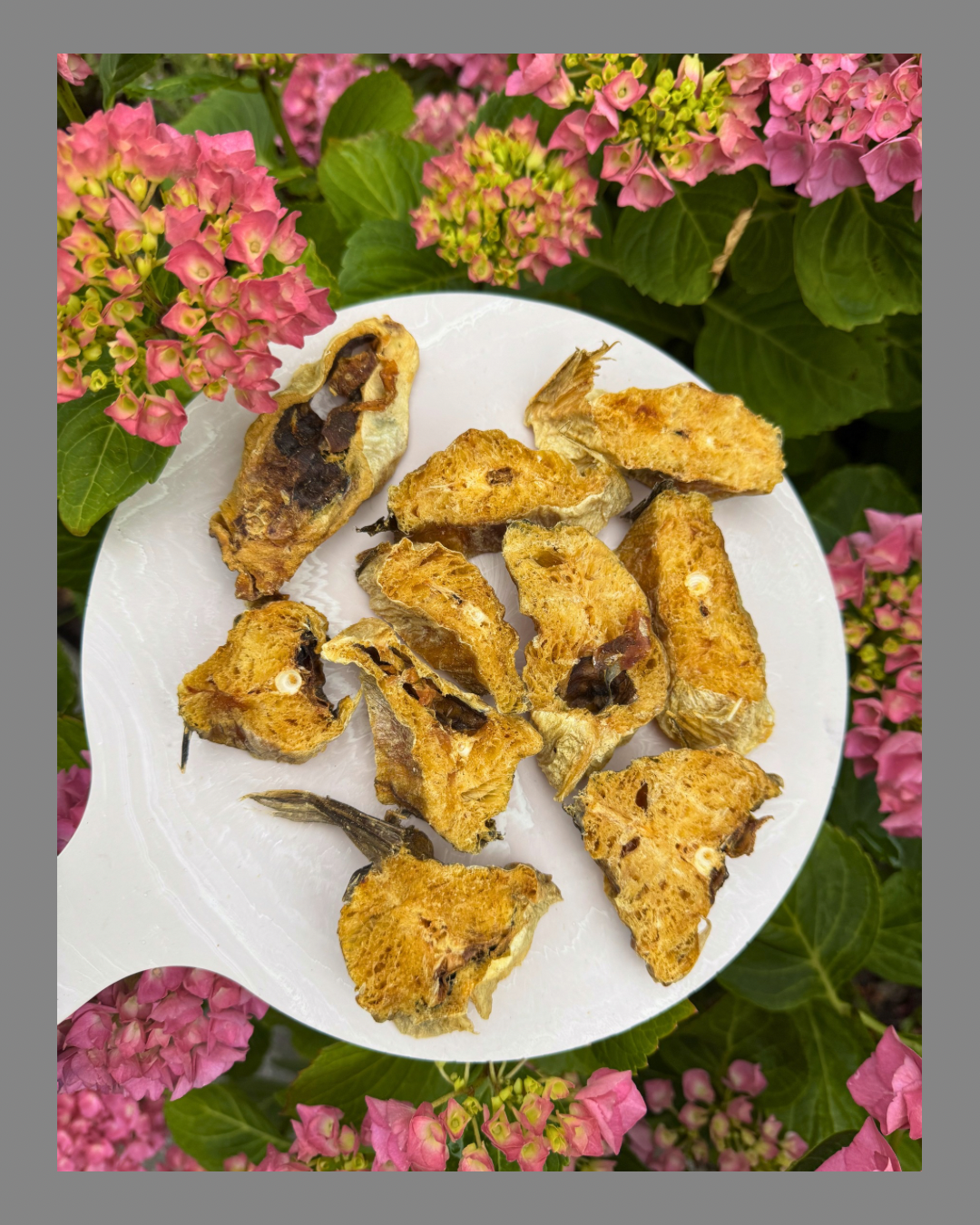 Pollak steak