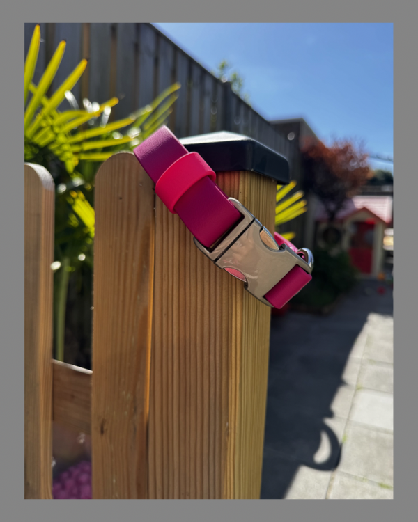 Biothane klik halsband