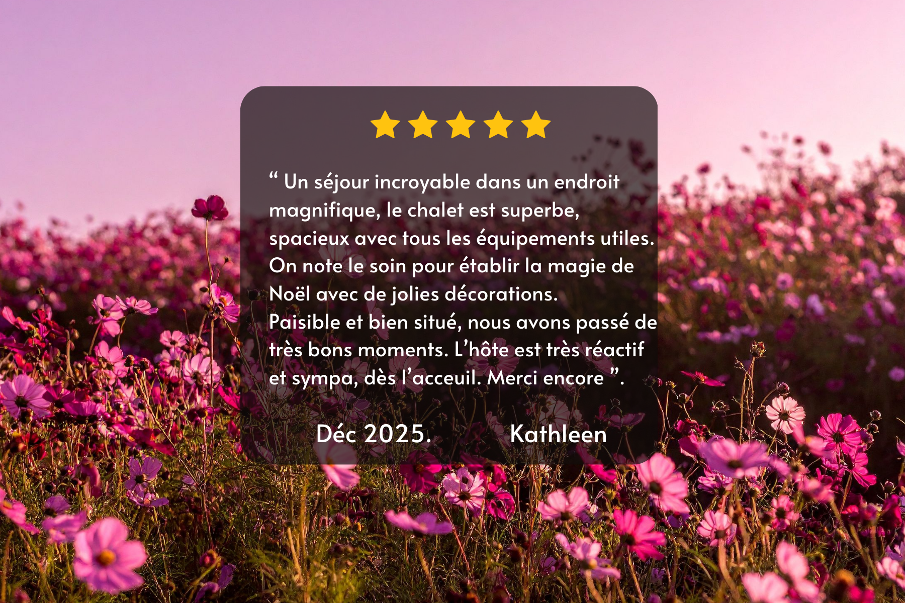 Découvrez nos avis Google dans les Vosges 