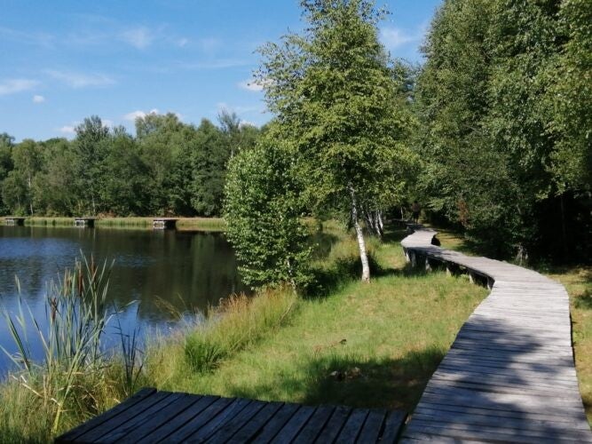 Loisirs et détente à proximité du Gîte Ô 4 Vents