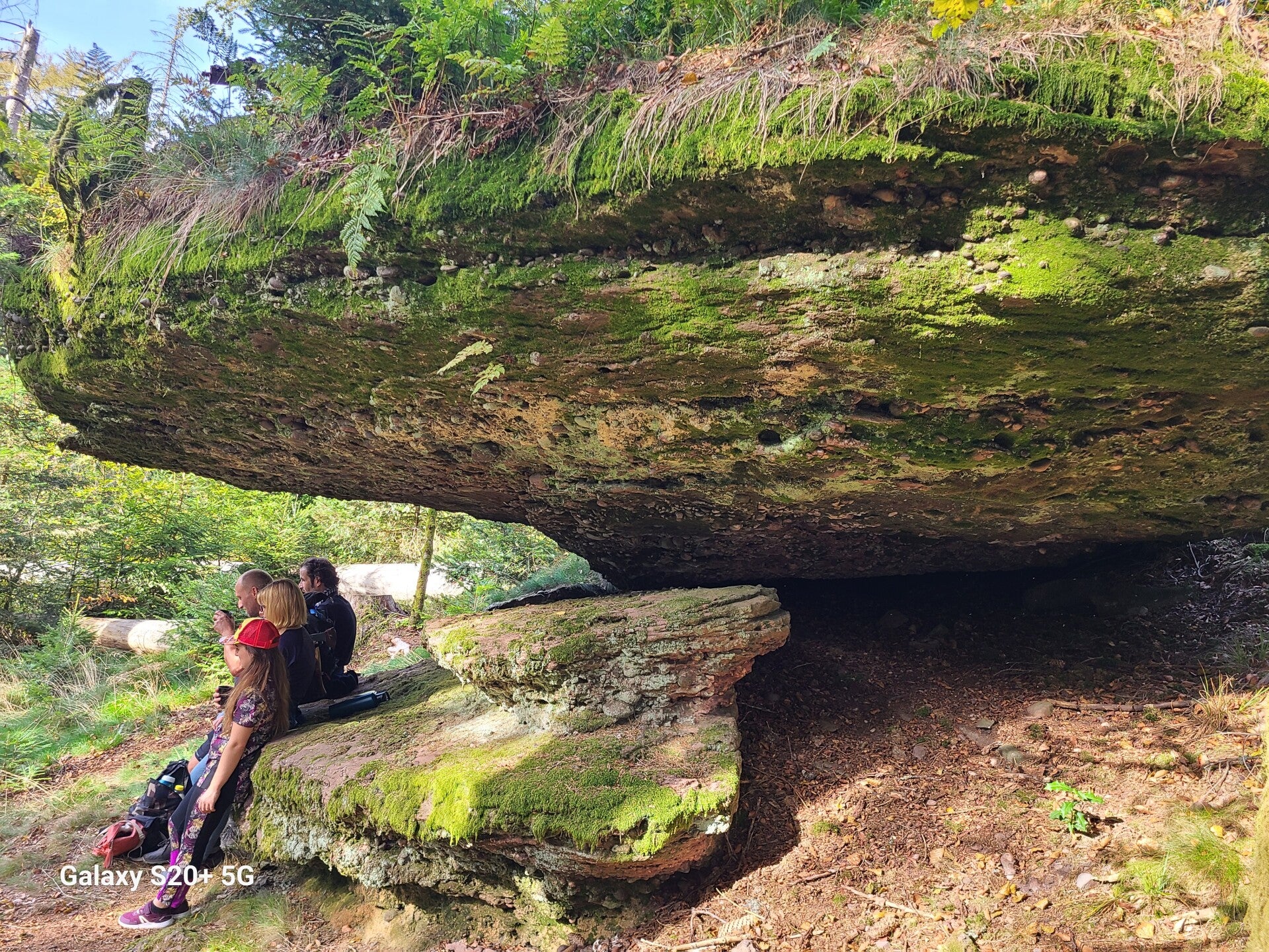 Randonnée dans la forêt de Ventron - nature préservée Vosges