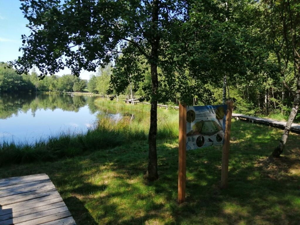 Randonnée calme et nature à proximté du Gîte Ô 4 Vents